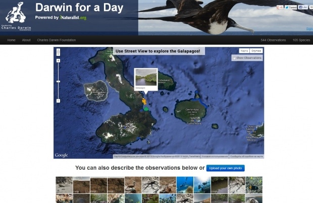 Фрагмент интерфейса сайта Darwin for a Day