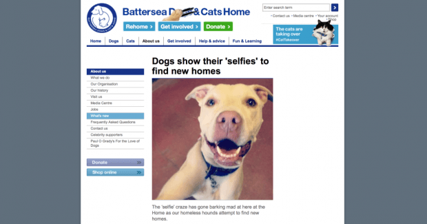 Battersea shares dog selfies