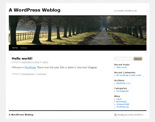 Пример сайта на WordPress с темой Twenty Ten