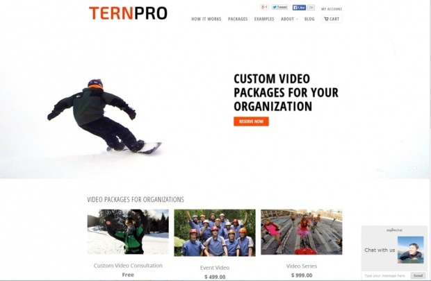 Фрагмент интерфейса сайта TernPro