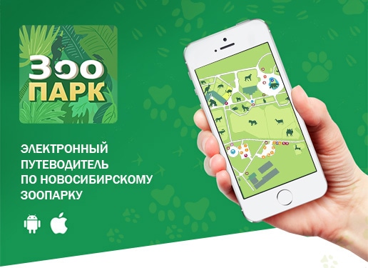 Новосибирский зоопарк запустил мобильное приложение-путеводитель