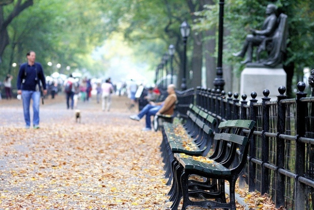 Central Park Benches by Phil Roeder, Flickr, CC BY 2.0.