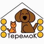 «Теремок» – оперативная помощь и забота о животных в Хабаровске