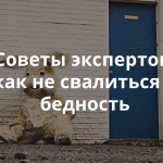 Что делать, если вы потеряли работу, и другие полезные советы в PDF-гидах