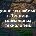 Региональные координаторы «Теплицы» о любимых приложениях и сервисах: итоги 2014