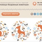 Новое российское веб-приложение помогает бездомным животным найти дом