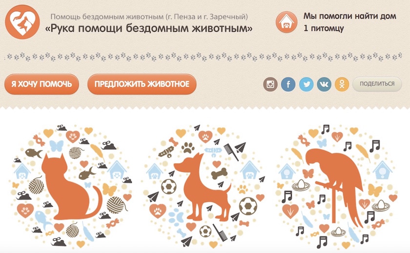 Новое российское веб-приложение помогает бездомным животным найти дом