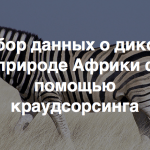 Tracking the Wild – сбор данных о дикой природе Африки с помощью мобильного приложения