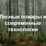 Приглашаем на митап «Как технологии оперативного мониторинга помогают в решении чрезвычайных ситуаций?»