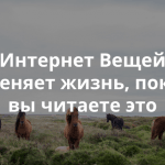 Как Интернет Вещей изменит наше отношение к политике