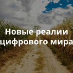 Кто такие экохакеры?