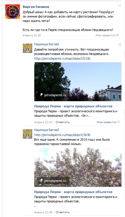 Скриншот группы в Вконтакте «Природа Перми»