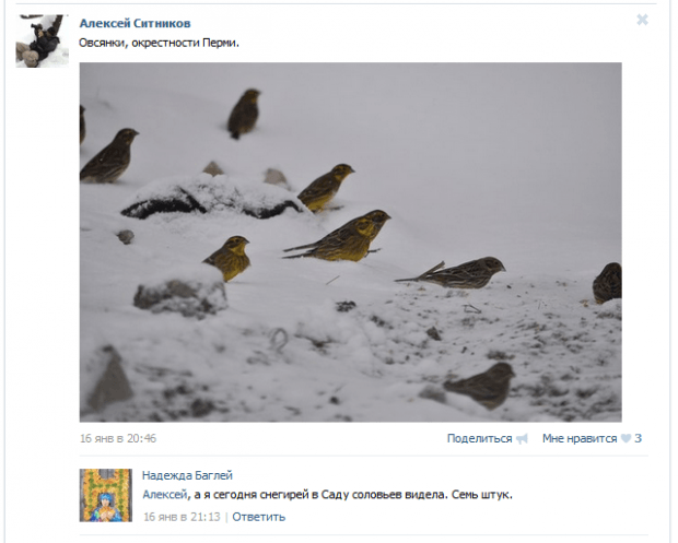 Скриншот группы в Вконтакте «Природа Перми»