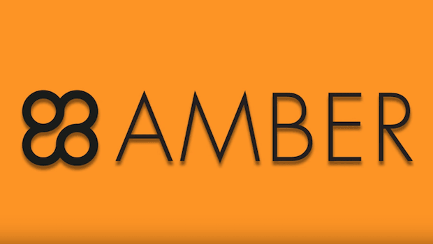 Amber – плагин для WordPress и Drupal, который обеспечивает сохранность информации по неработающим ссылкам