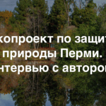 Природа Перми: итоги первого года проекта, победившего на хакатоне Теплицы