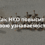 Как сделать из НКО информационный продукт: опыт и успешные решения
