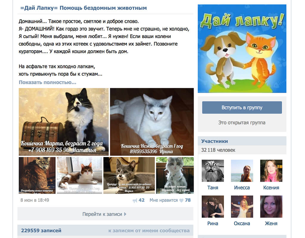 Группа сообщества "Дай лапку" Вконтакте. Фото: Вконтакте.
