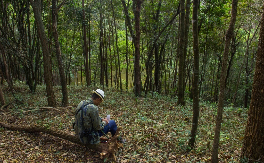 Инспектор обходит джунгли Амазонии. Фото: Flickr Moisés Silva Lima (CC BY 2.0).