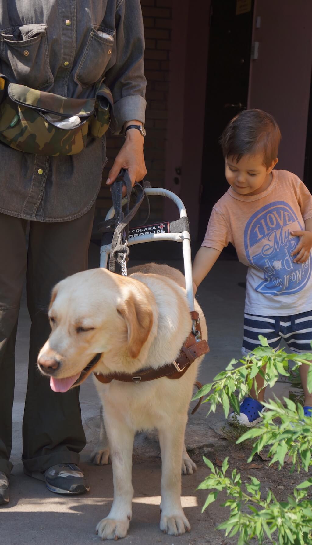 Собака-поводырь Габи с семьей Мурата. Фото: Элина Почуева.