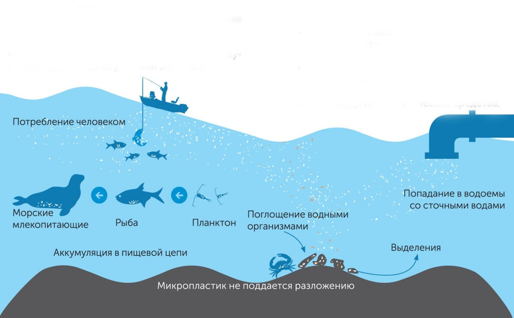 Проблема микропластика в России ранее не поднималась. Фото: фрагмент брошюры Clean Baltic.