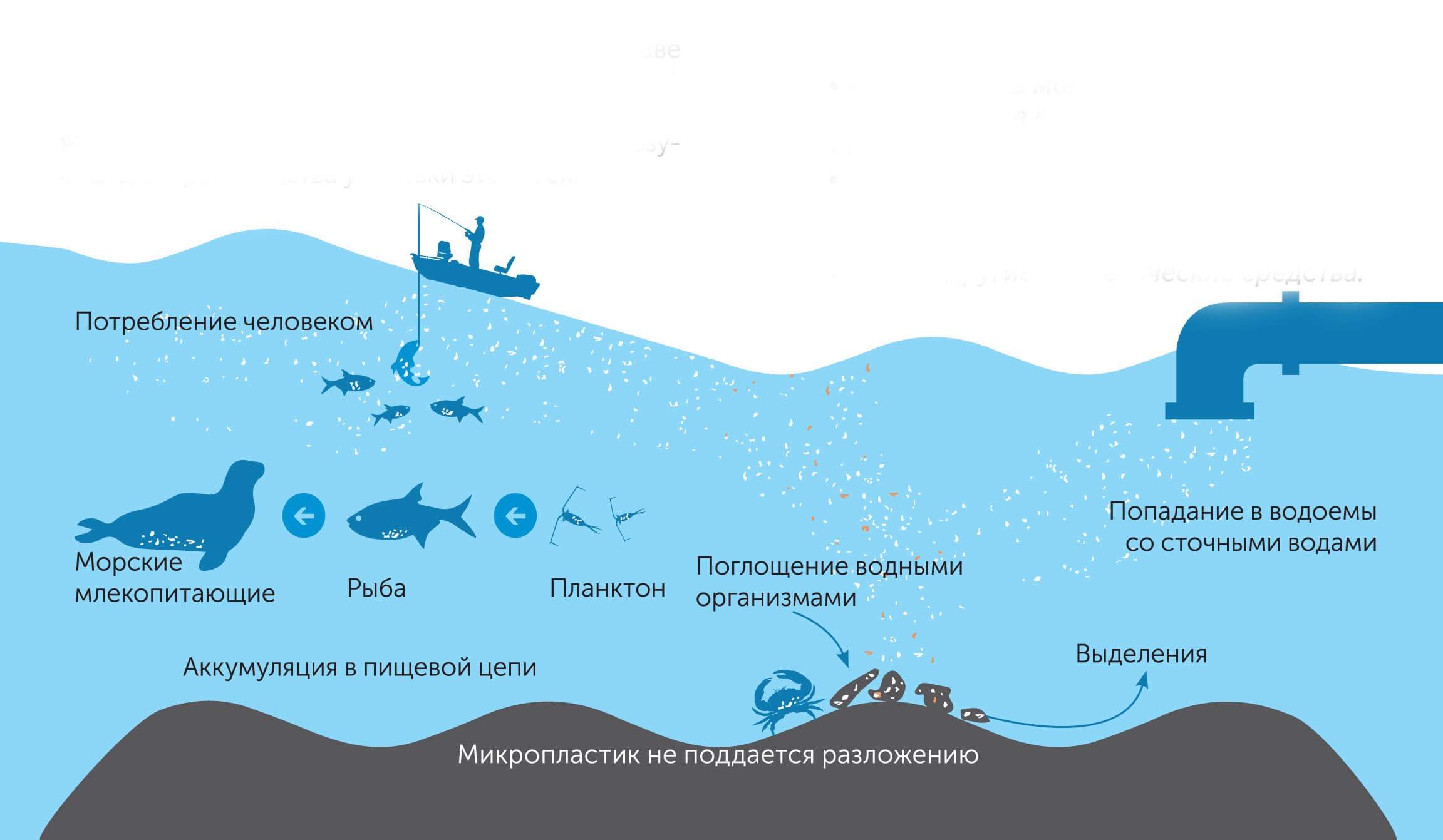 Загрязнение окружающей среды схемы. Микропластик источники. Схема загрязнения воды. Микропластик в морской среде. Пластик и микропластик.