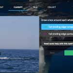Zooniverse: платформа для краудсорсинговых научных исследований на основе фотографий