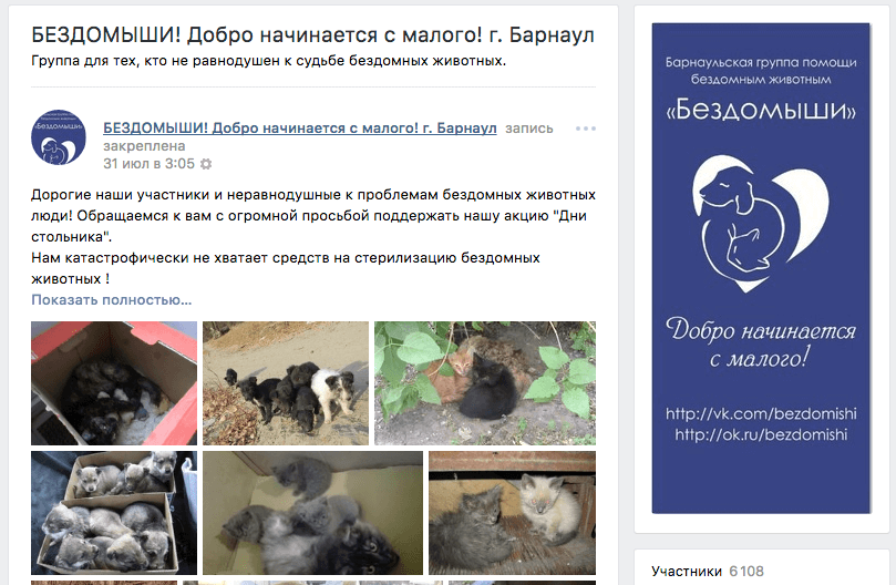 Фрагмент страницы сообщества «Бездомыши» в ВКонтакте.