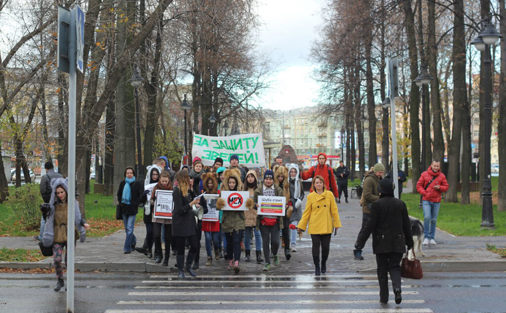 Шествие в рамках акции «Животные - не одежда!», 4 октября 2015 года. Фото предоставлено приютом «Матроскин»