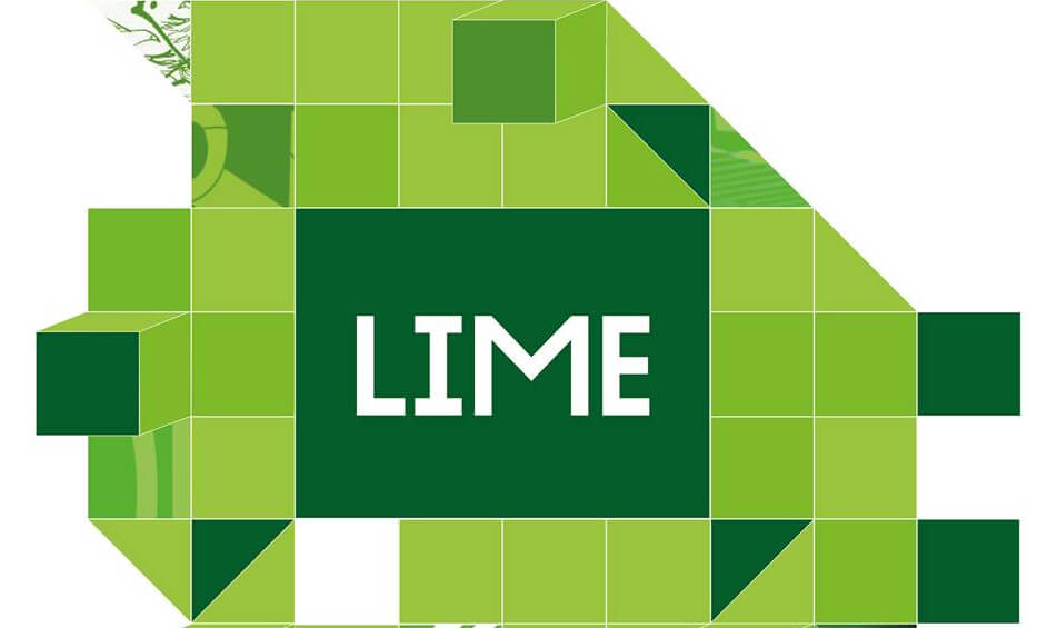 С описанием номинаций можно ознакомиться на сайте limefestival.ru. Фото: логотип фестиваля.