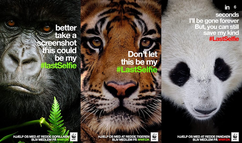 Фото: фрагмент кампании WWF #LastSelfie. 