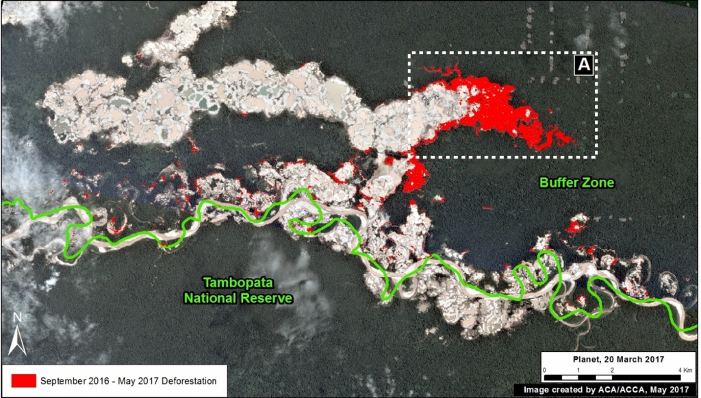 На карте показаны зоны незаконной вырубки лесов на берегах перуанской Амазонки. Данные были получены со спутников. Изображение: скриншот с сайта maaproject.org