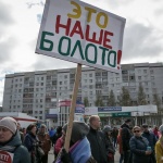 Сайт для экологической кампании: вебинар Алексея Сидоренко