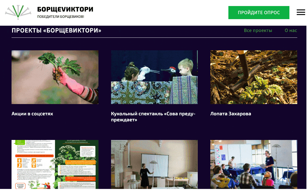 Фрагмент сайта экопроекта БорщеVictory. Сайт создан Мариной Шайкиной на одной из мастерских
