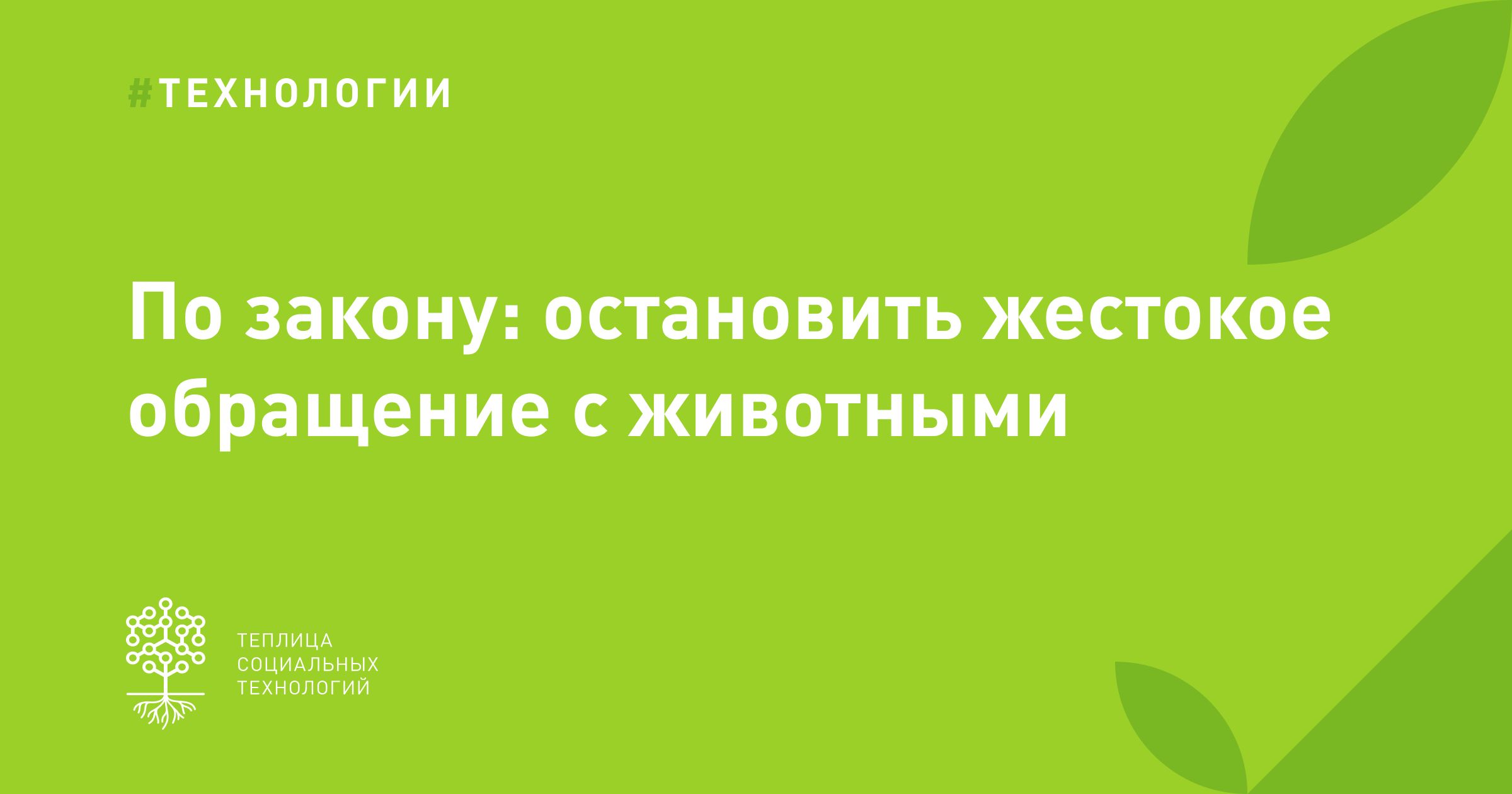 тестирование дот ком или пособие по жестокому обращению с багами в интернет стартапах фото 115