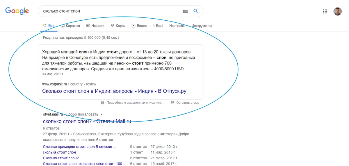 Внешний вид блока выделенного описания в поисковой выдаче Google. Скриншот сайта google.ru
