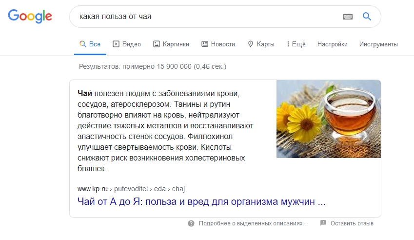 Показ выделенного описания в виде абзаца. Скриншот сайта google.ru