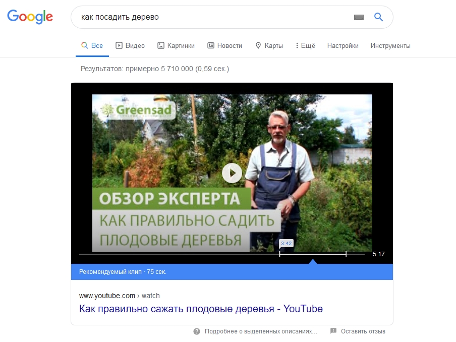 Показ выделенного описания в виде клипа. Скриншот сайта google.ru