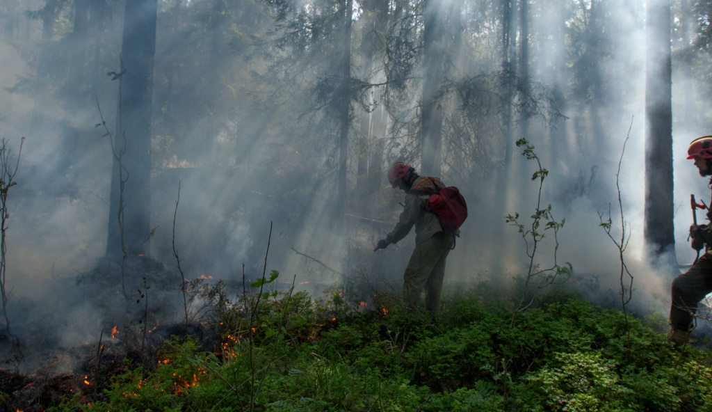 Тушение лесного пожара на одном из островов Ладожского озера. Фото Greenpeace.