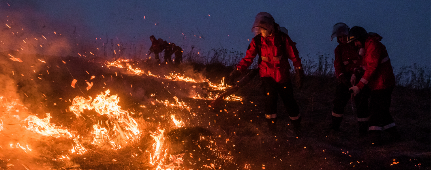 Тушение травяного пала в Московской области. Фото Greenpeace.