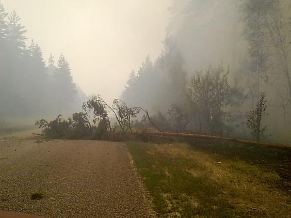 Одна из фотографий лесных пожаров, которую Михаил Шляпников выложил в 2010 году в LiveJournal. 