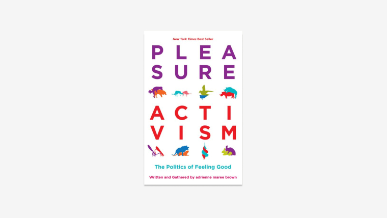 Обложка книги Pleasure Activism: The Politics of Feeling Good.