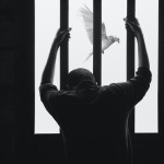 В поисках истины: что делать, если обвиняют в фейке