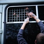 Безопасность на митингах. Подробный гайд от правозащитников