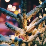 Теплица подводит итоги 2025-го: расскажите о своём опыте