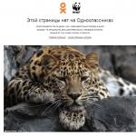 WWF и Одноклассники создали «редкую страницу»