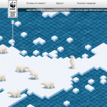 Интервью: особенности онлайн-фандрайзинга WWF Россия